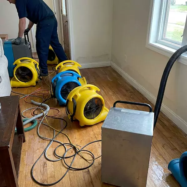 Water Mitigation Services in Irving, TX