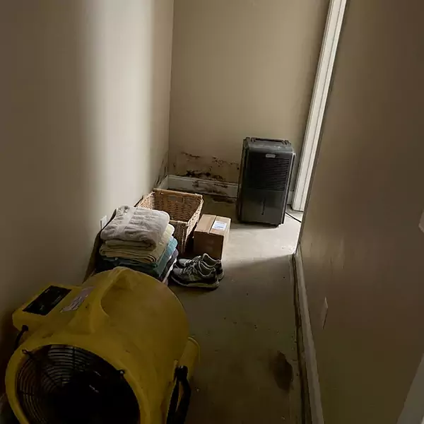 Expert Water Remediation in Irving, TX 