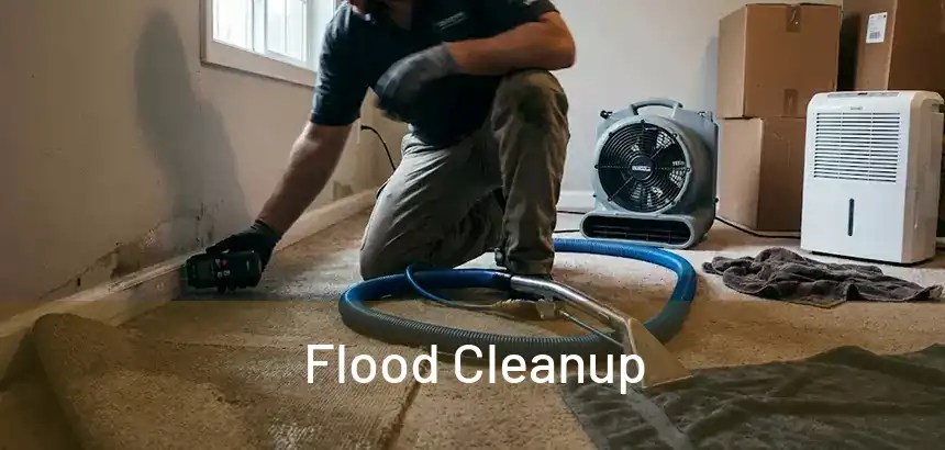  Flood Cleanup 