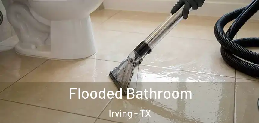  Flooded Bathroom Irving - TX