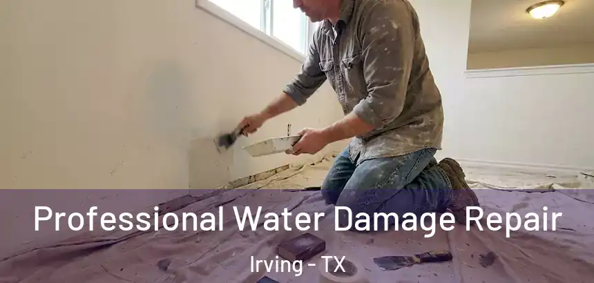  Professional Water Damage Repair Irving - TX