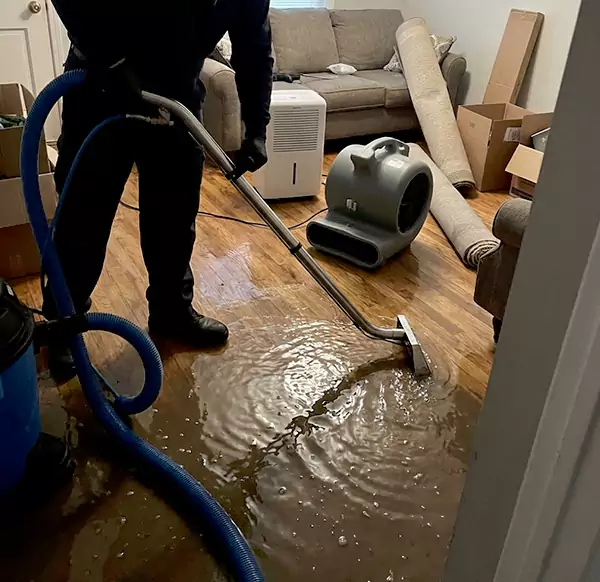 Why Homeowners & Businesses Choose Irving Water Damage Pro for Flood Cleanup in Irving, TX?